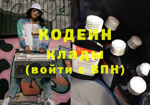 сатива Беслан