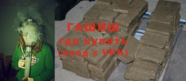 сатива Беслан