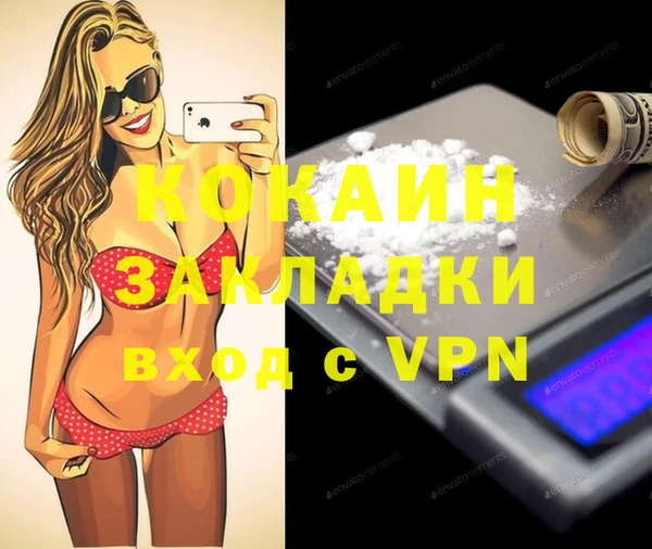 сатива Беслан